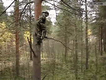 Fail you tried reaction gifs